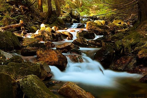 Mountain stream