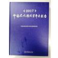 2017中國反侵權假冒年度報告