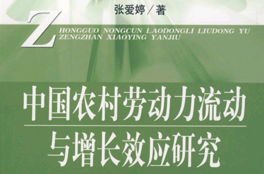 中國農村勞動力流動與增長效應研究
