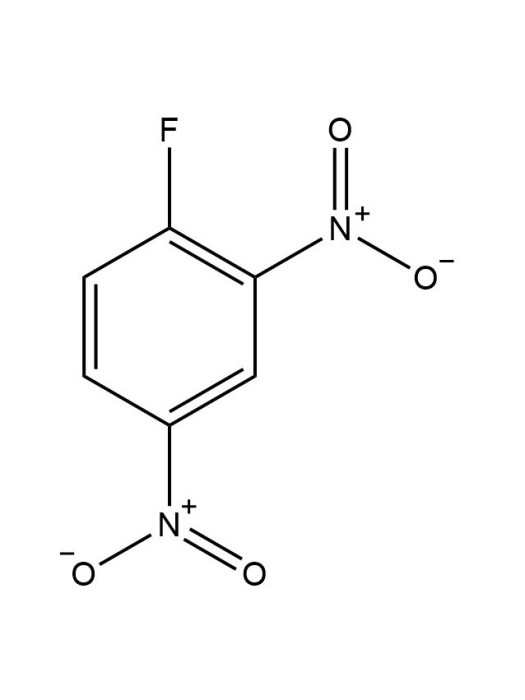 2,4-二硝基氟苯(二硝基氟苯)