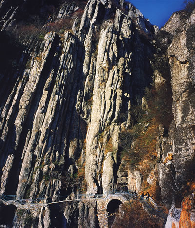 中嶽村(福建省莆田市仙遊縣度尾鎮下轄村)