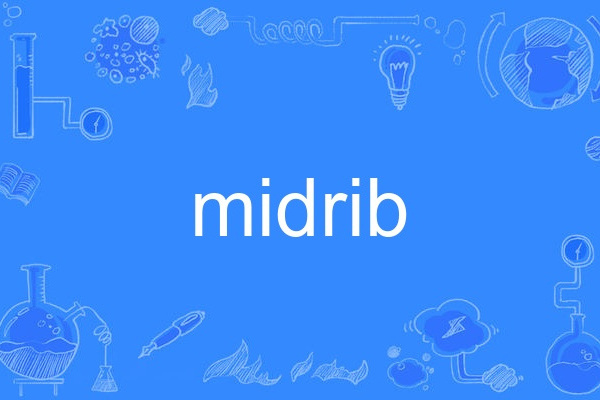 midrib