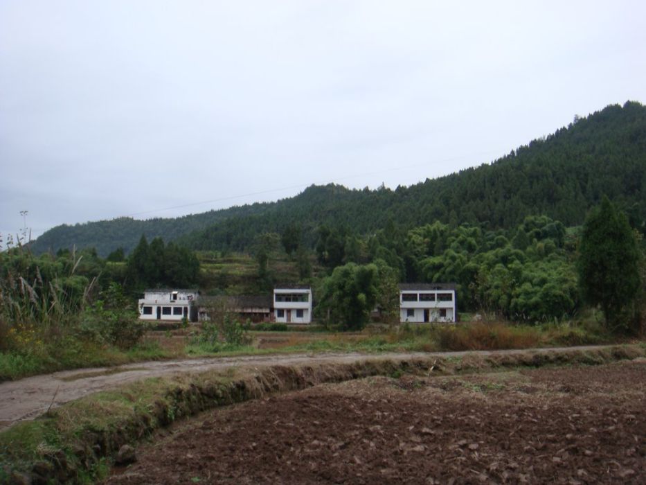 太平集村(山東省昌邑市柳疃鎮下轄村)