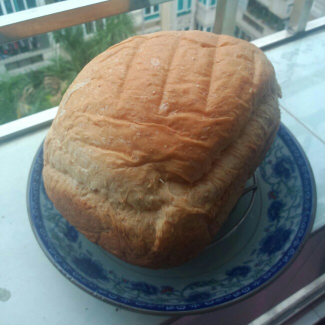 湯種全麥麵包