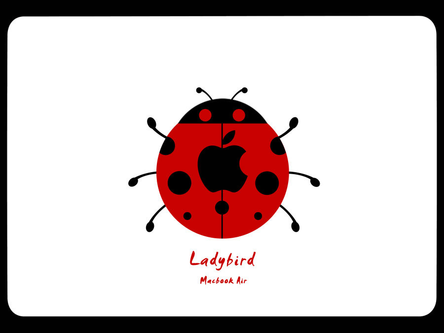 lady bird