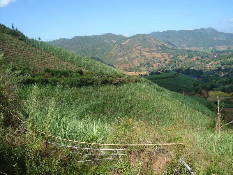 力柴村耕地