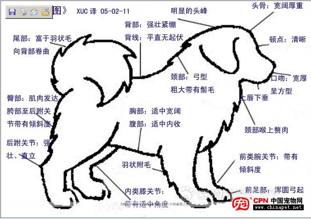 藏獒標準概要圖