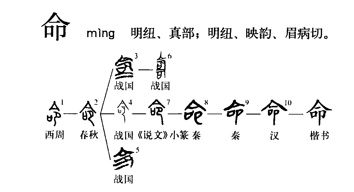 字形演變流程圖