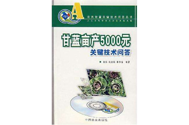 甘藍畝產5000元關鍵技術問答