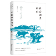 社會調查自白(2022年6月由湖南人民出版社出版的圖書)