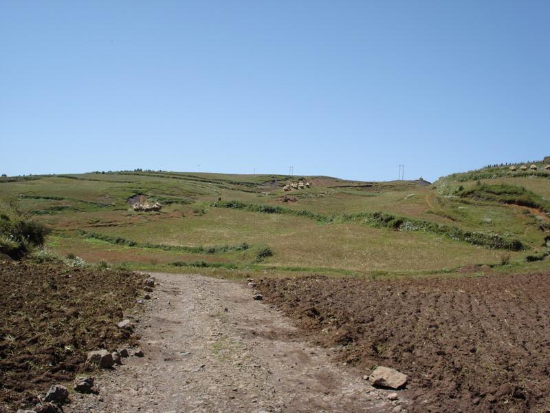 進村道路