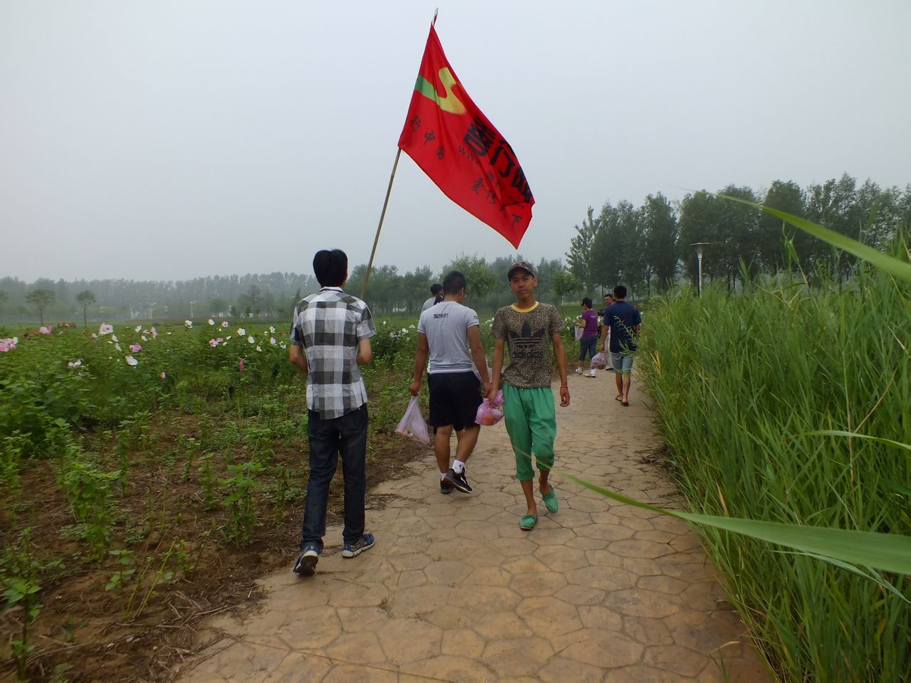 曹妃甸森林公園清理垃圾