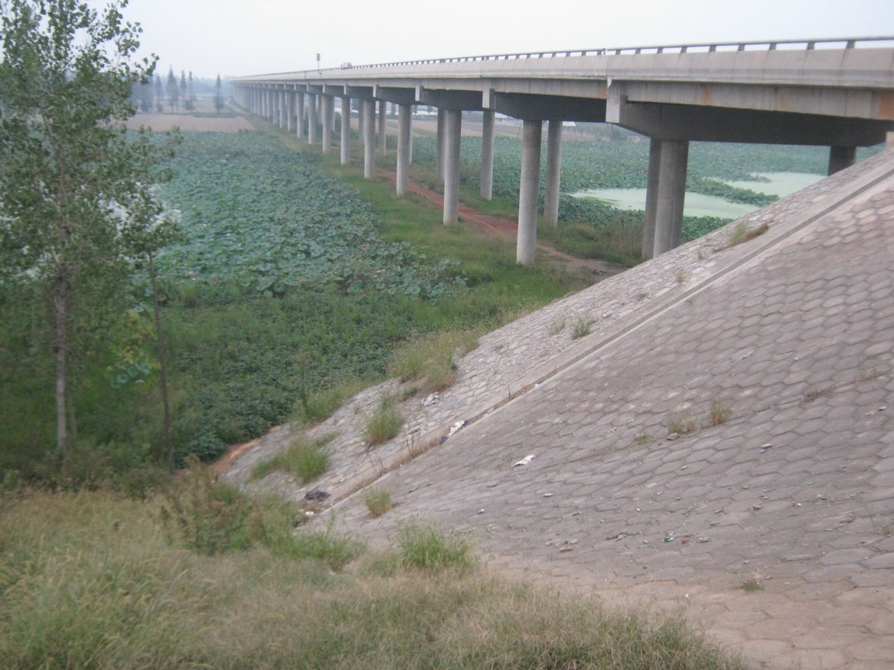 漢壽沅水大橋