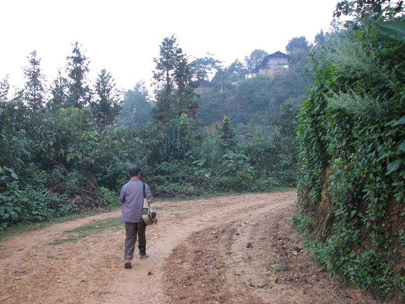 入村道路