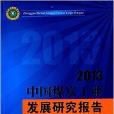 2013中國煤炭工業發展研究報告