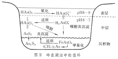 污染物地質大循環