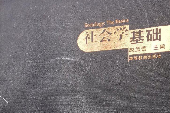 社會學基礎(2006年高等教育出版社出版的圖書)