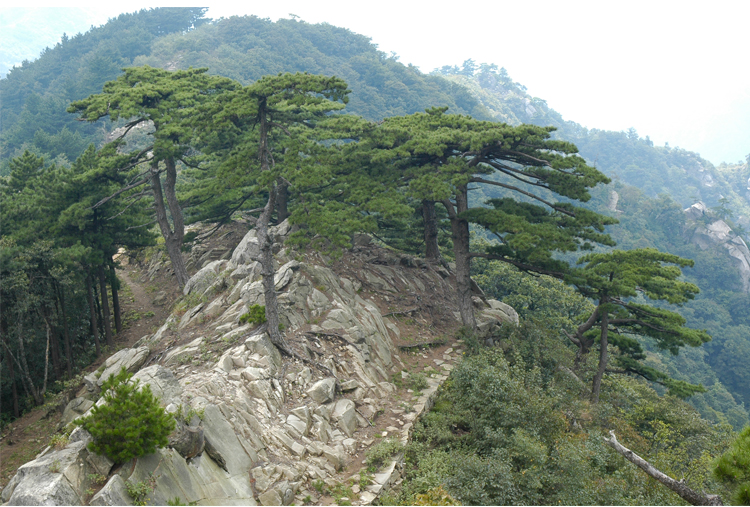 大別山白馬尖