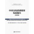 中國文化消費投資發展報告(2020)(2020年社會科學文獻出版社出版的圖書)