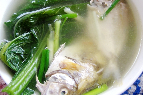 芥菜海魚湯