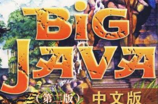 BIGJAVA中文版