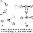 正式溝通網路