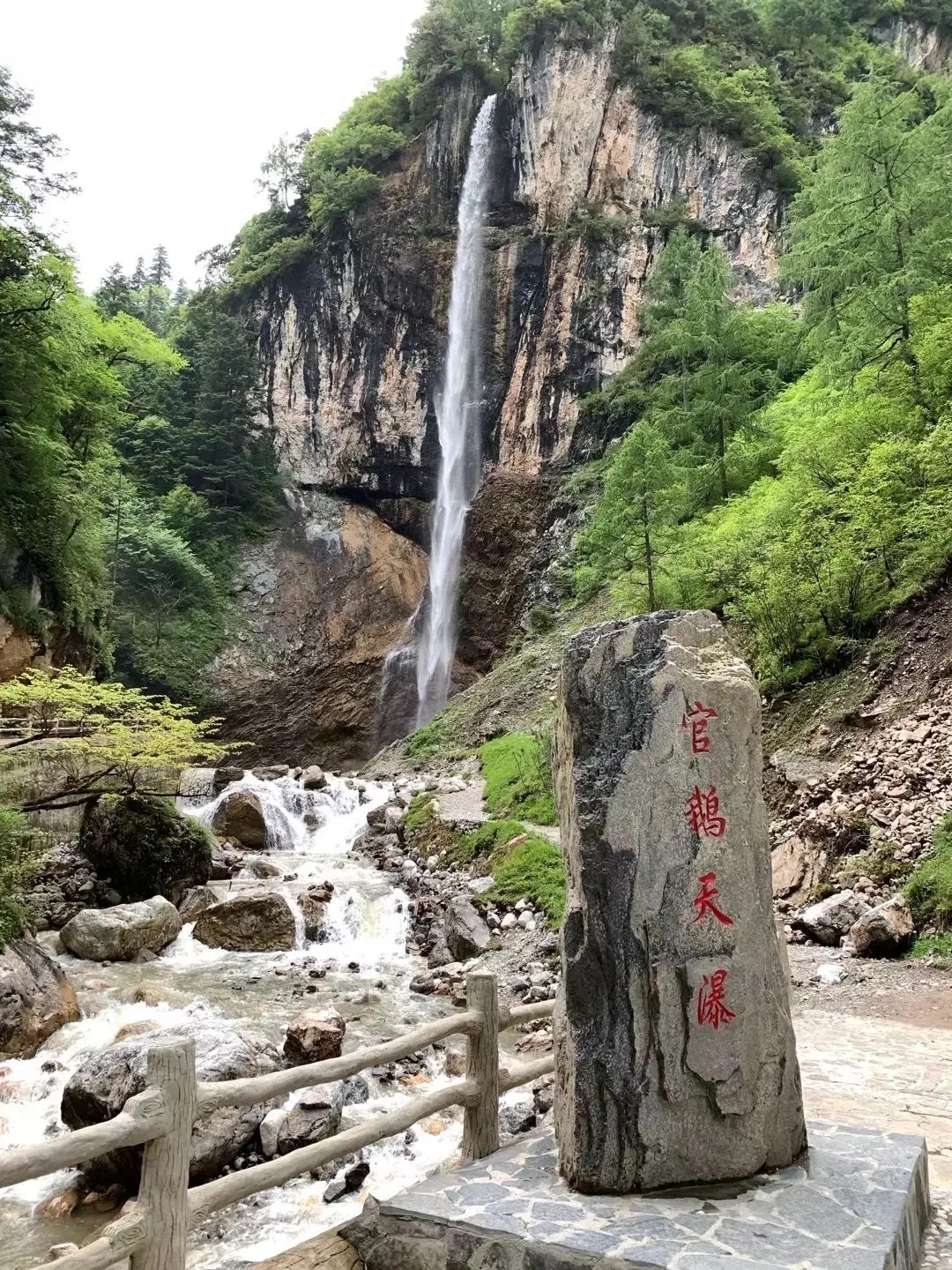 甘肅官鵝溝國家森林公園