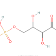 1-脫氧-D-葡萄糖-5-磷酸酯