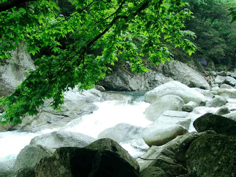 桃源洞國家森林公園