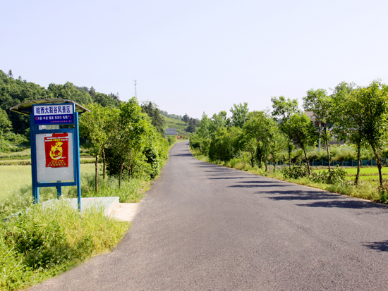 金安區道路