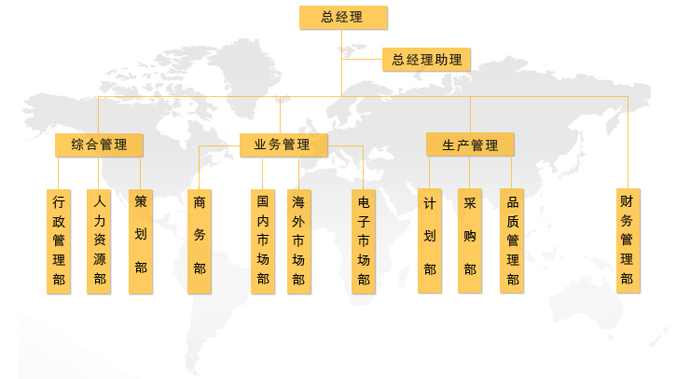 深圳市麗飛科技有限公司