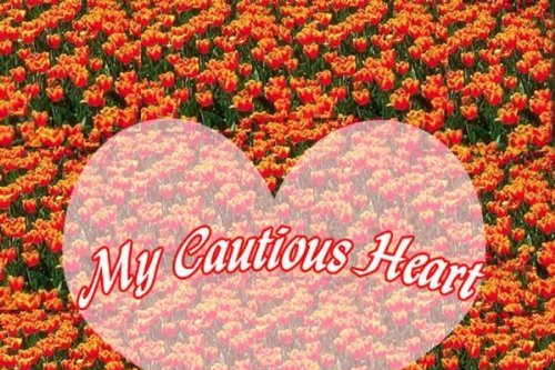 My Cautious Heart