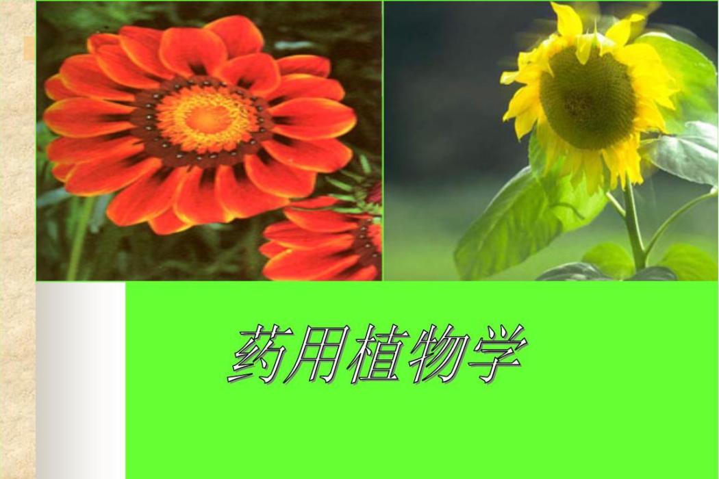 藥用植物學(四川大學建設的慕課)