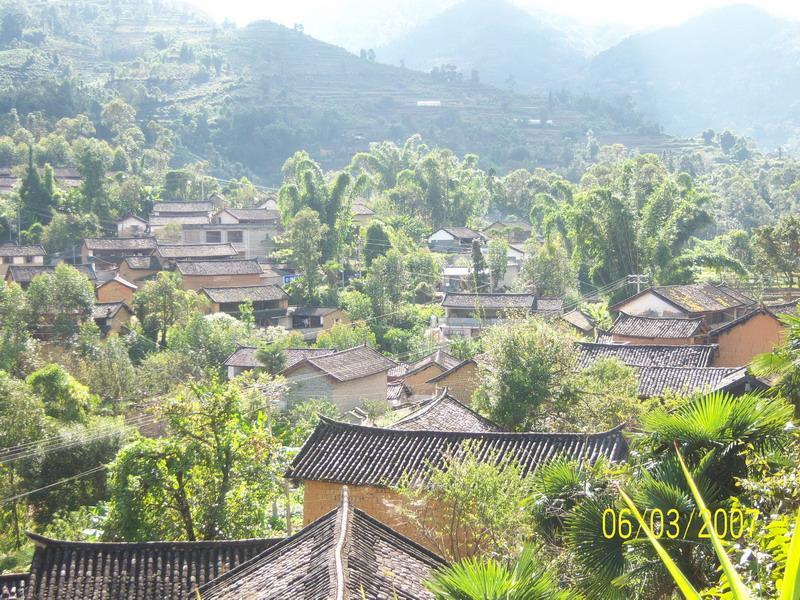 大有村(廣東中山市阜沙鎮下轄村)