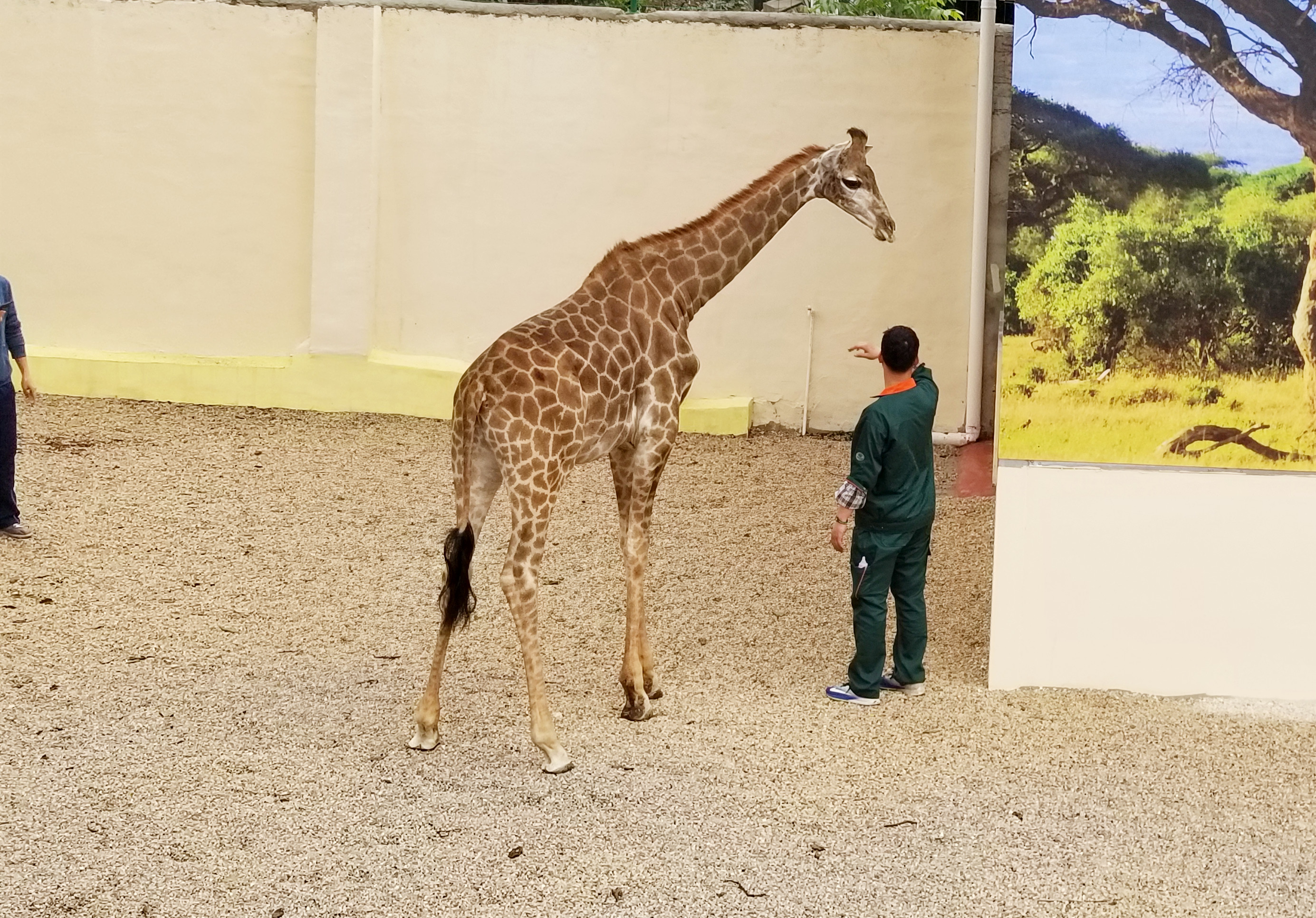 六盤水動物園