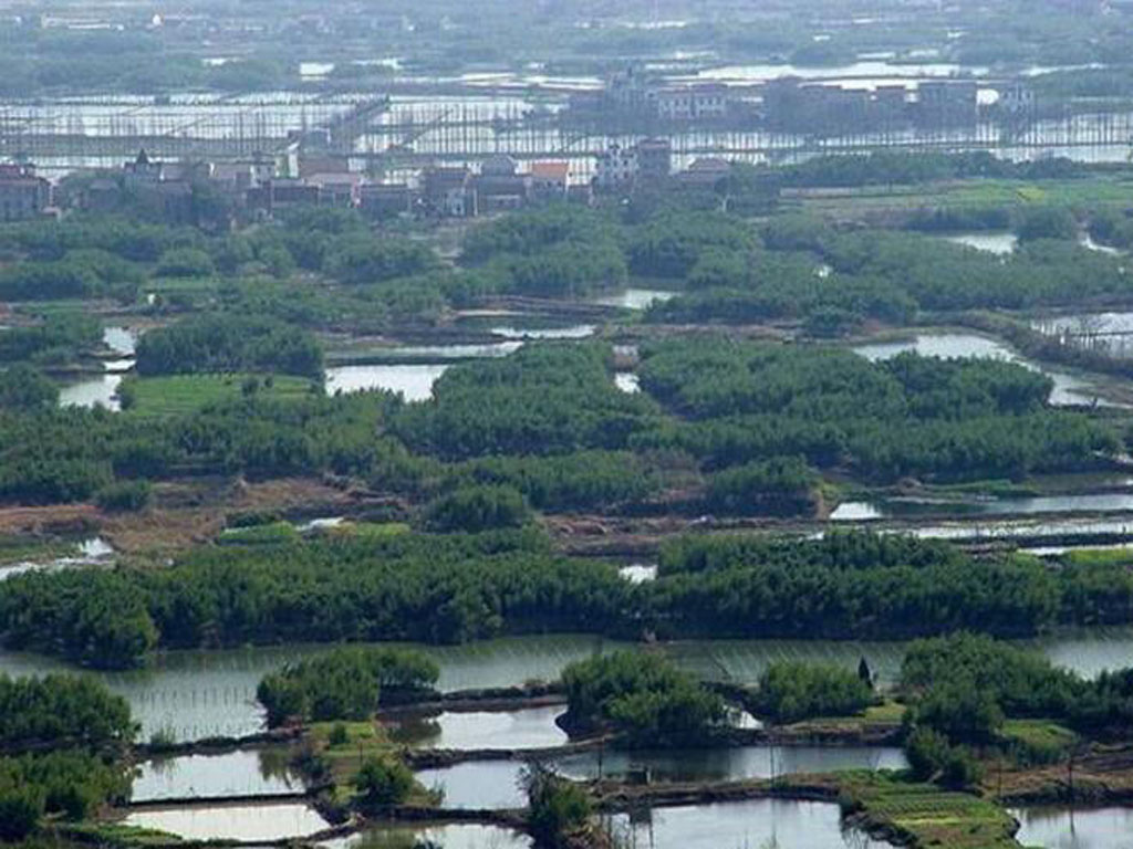 水產村(浙江省紹興市越城靈芝鎮下轄村)