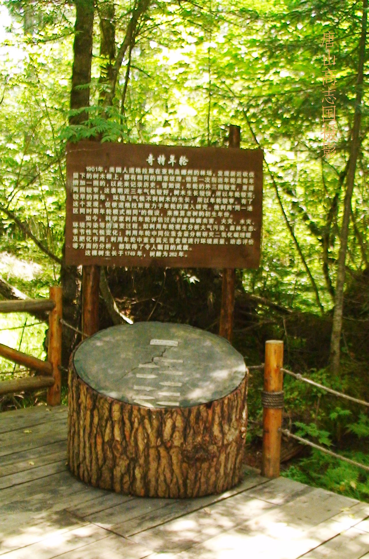 長白山大峽谷