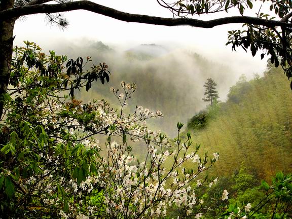 烏岩嶺景觀