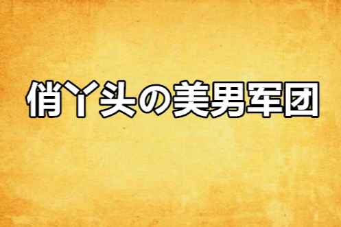 俏丫頭の美男軍團