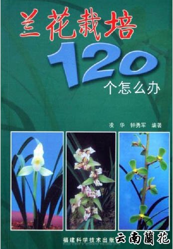 蘭花栽培120個怎么辦