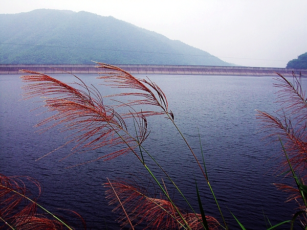 水庫掠影