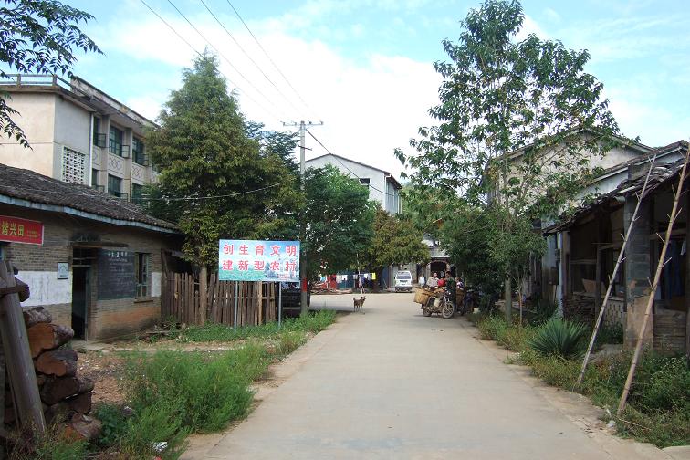 南樹村(福建武夷山市興田鎮下轄村)