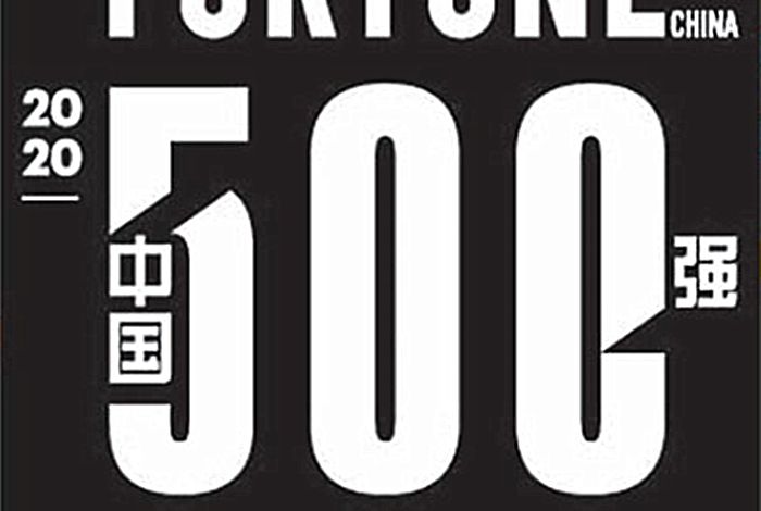 2020年《財富》中國500強