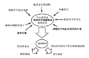 系膜增生性腎小球腎炎