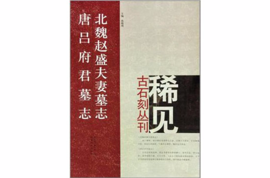 北魏趙盛夫妻墓誌唐呂府君墓誌/稀見古石刻叢刊