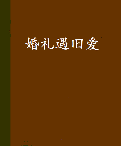 婚禮遇舊愛(現閱書中文網的小說)