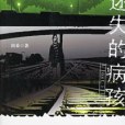 迷失的病孩(2006年中國友誼出版公司出版的圖書)