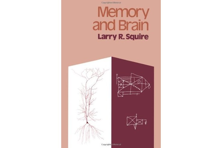 Memory and Brain