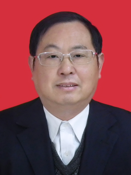 李桂生(安徽省池州市東至縣政協副主席)