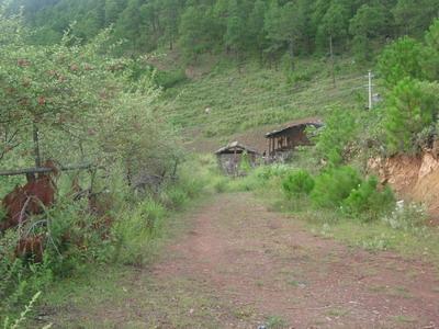 箭乾場村通村道路